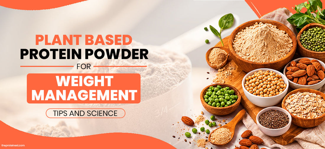 plant based protein powder