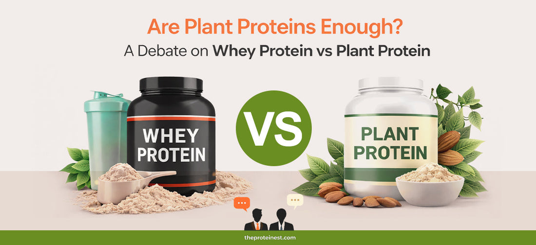 whey protein vs plant protein
