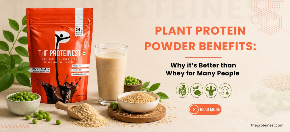 Plant Protein Powder