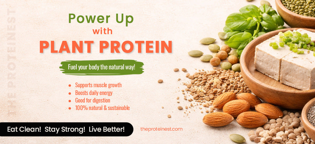 plant protein