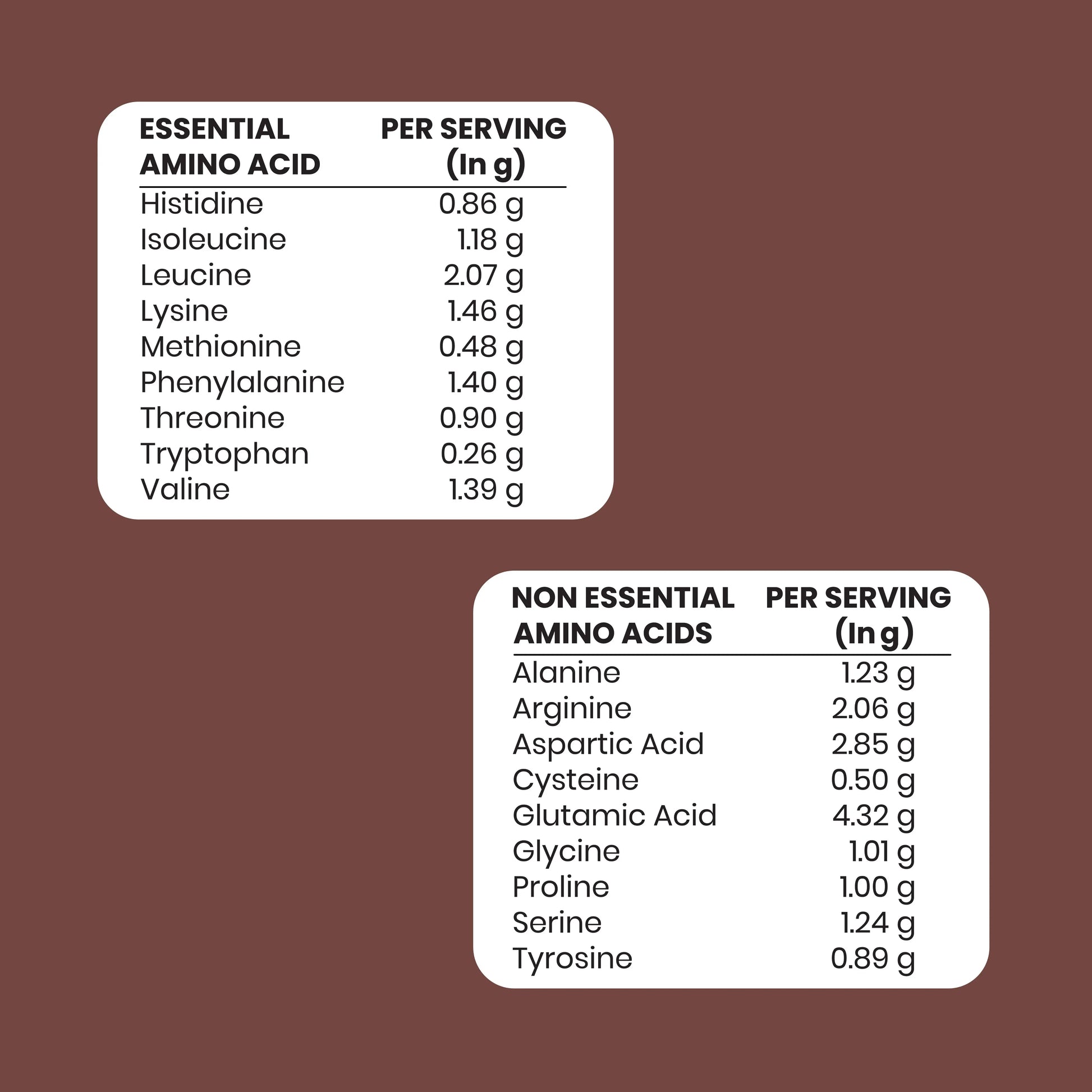 Choco Buddy + Shaker | Plant-Based Protein Combo The Proteinest