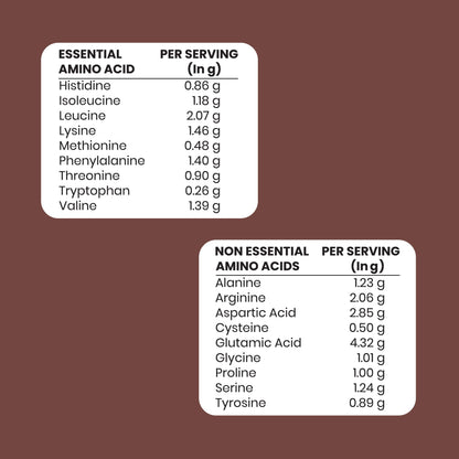 Choco Buddy + Shaker | Plant-Based Protein Combo The Proteinest