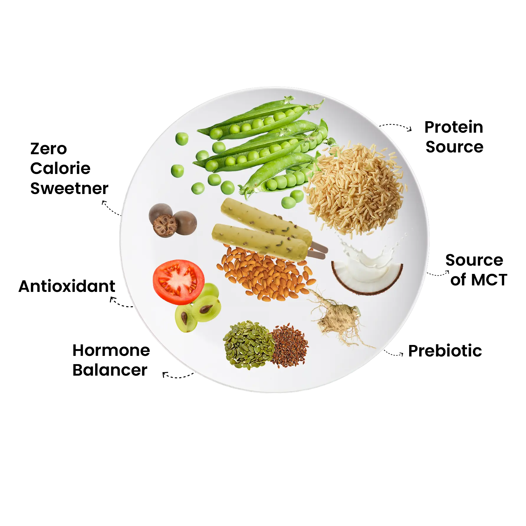 Kulfi Mate + Shaker Combo | Plant-Based Protein Made Easy The Proteinest