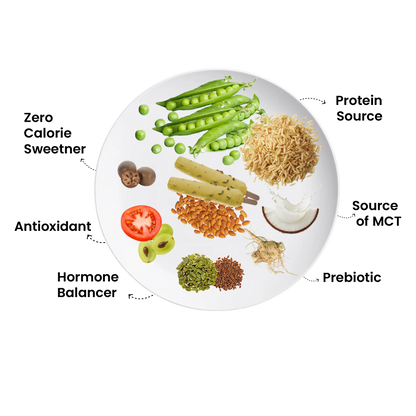 Kulfi Mate + Shaker Combo | Plant-Based Protein Made Easy The Proteinest