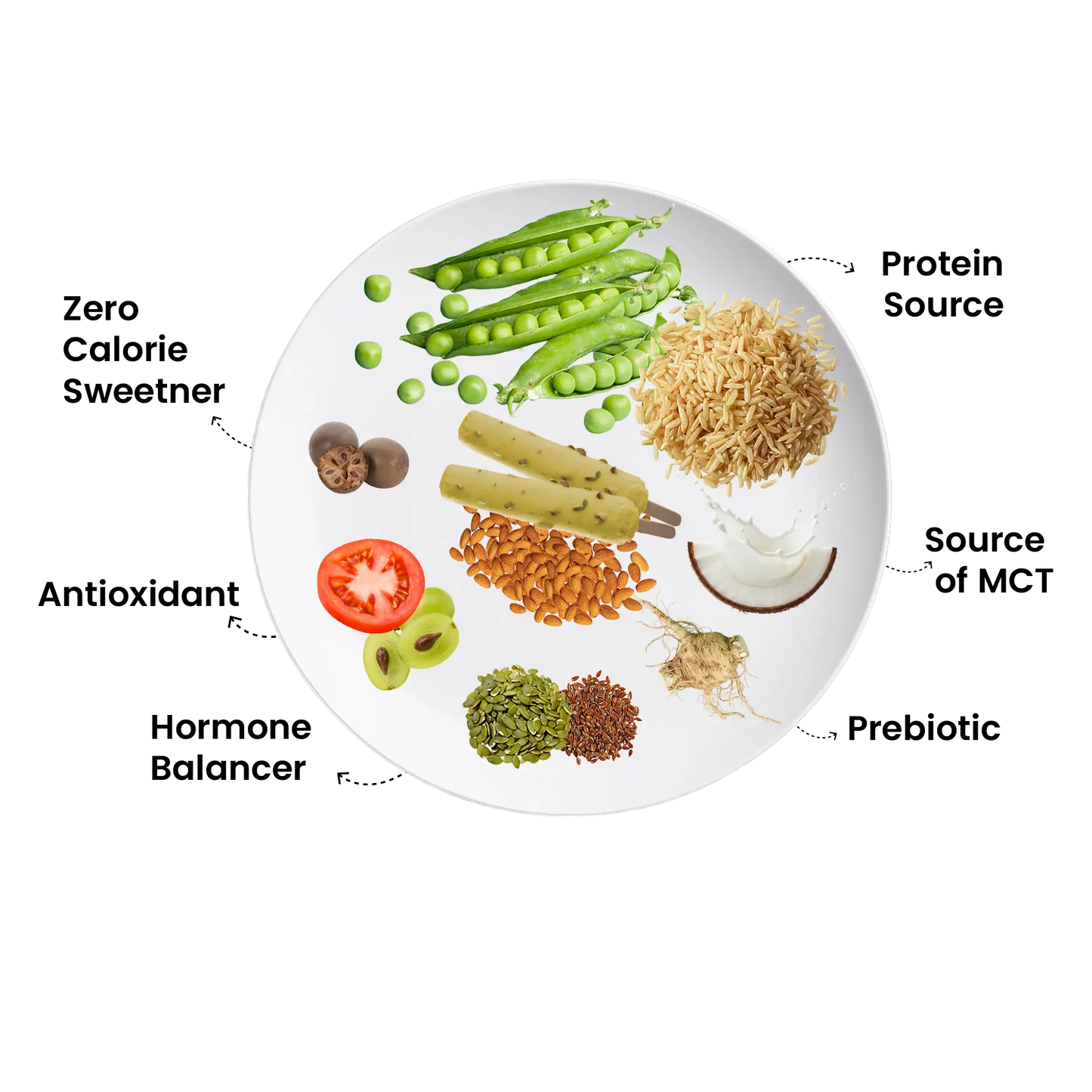 Choco Buddy + Kulfi Mate Combo | Plant-Based Protein The Proteinest