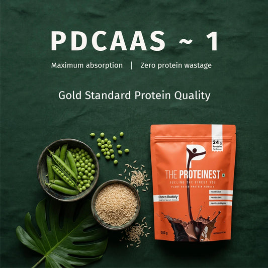 Choco Buddy: The Spanish cocoa plant protein your gut actually likes